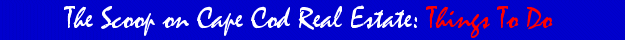 Links for Cape Cod information, Cape Cod towns, Cape Cod arts, Cape Cod museums, Cape Cod theater, Cape Cod sports, Cape Cod fishing, Cape Cod boating, Cape Cod baseball. 